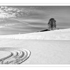 Winter Wonderland bei Aflenz / Steiermark