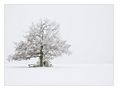 Winter Wonderland von Konrad 3 