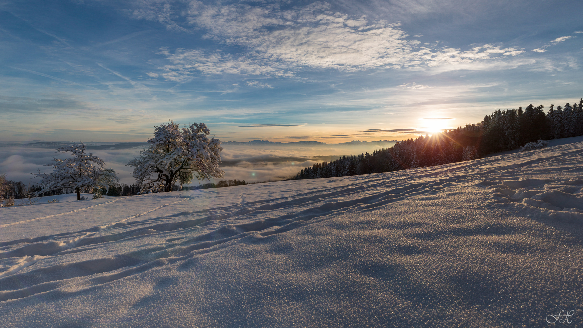 Winter-Wonderland