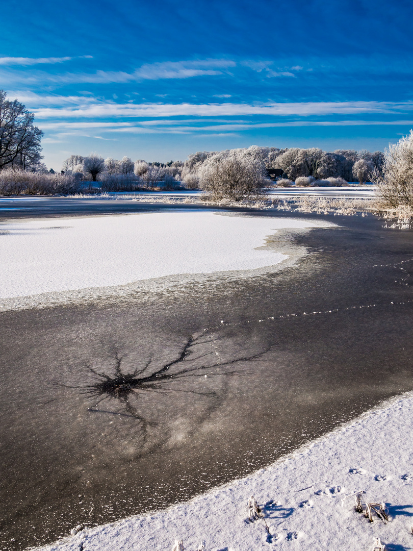 Winter Wonderland