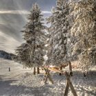 Winter Wonderland - Ein HDR am Schatzberg | Austria