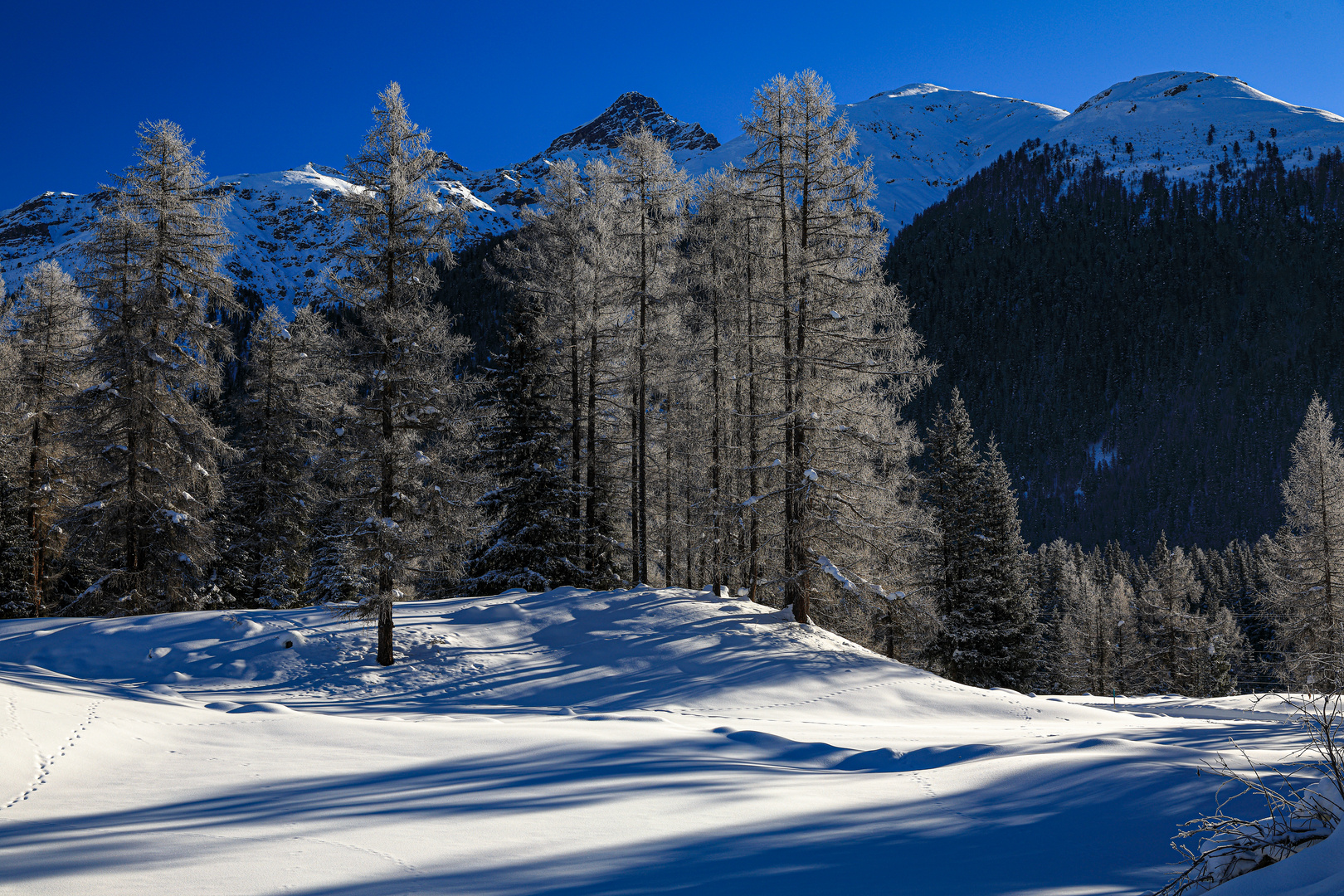 Winter Wonderland Engadin