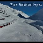 Winter Wonderland Express