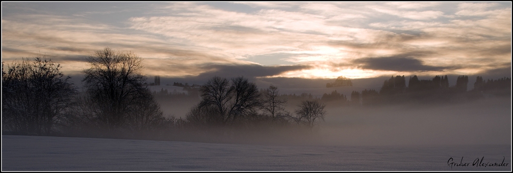 Winter Wonderland