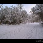 winter wonderland Hemmingen