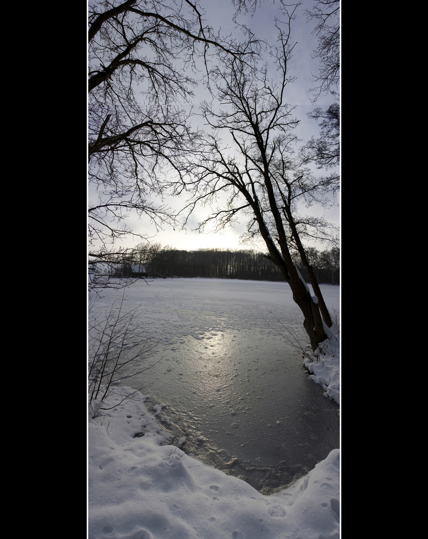 Winter Wonderland (Hücker Moor)