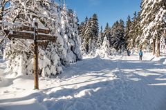 Winter-Wonderland im Harz (1)