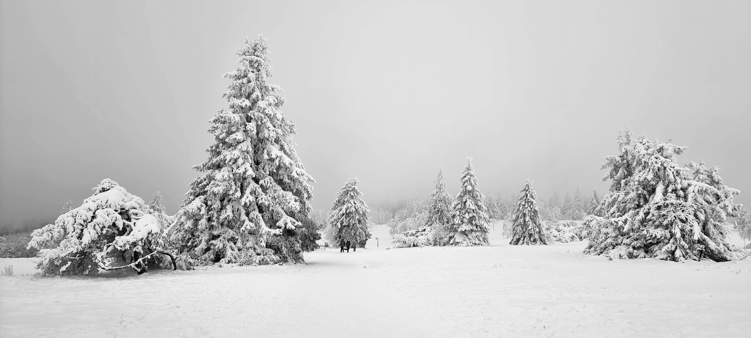 Winter Wonderland in B&W