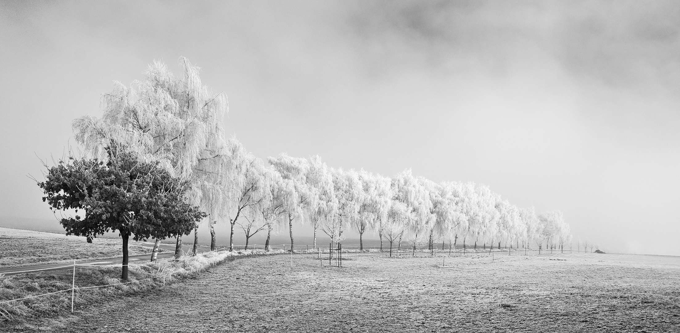 Winter-Wonderland in Himmighofen