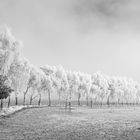 Winter-Wonderland in Himmighofen