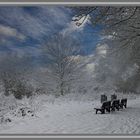 Winter Wonderland in Schleswig-Holstein