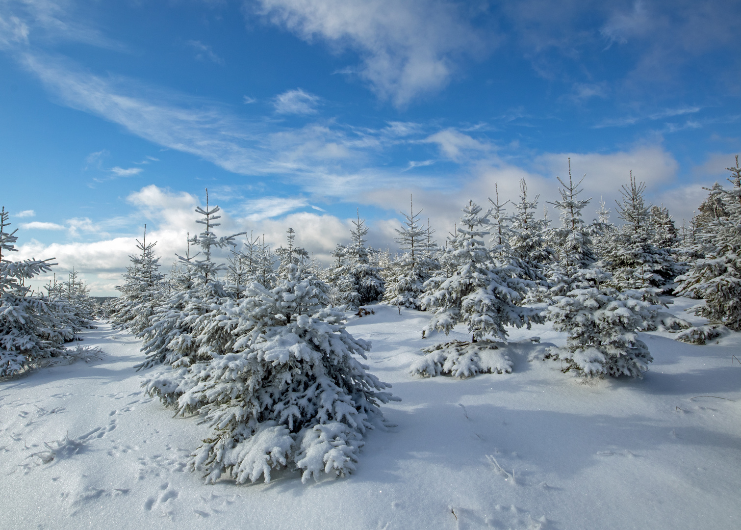 Winter Wonderland in Wittgenstein