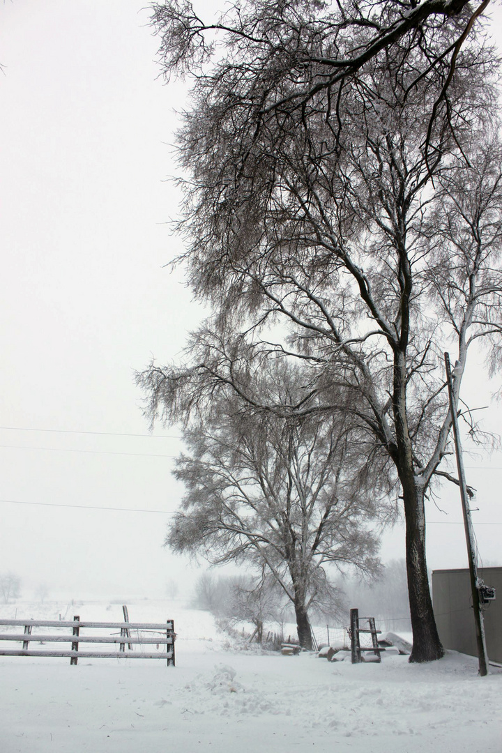 Winter Wonderland Michigan