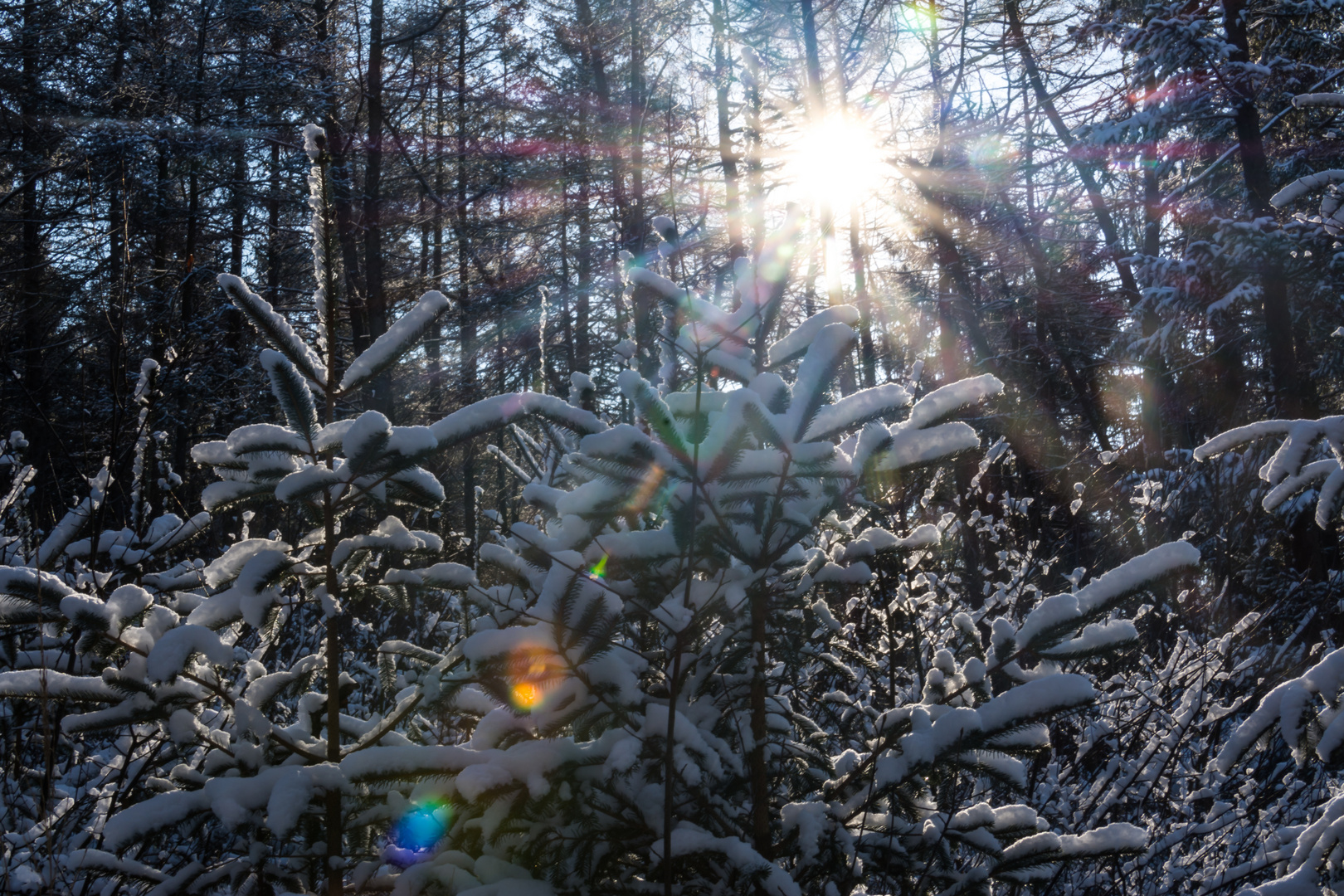 Winter Wonderland Schleswig-Holstein