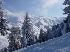 Winter Wonderland - Zillertal/Hochfügen