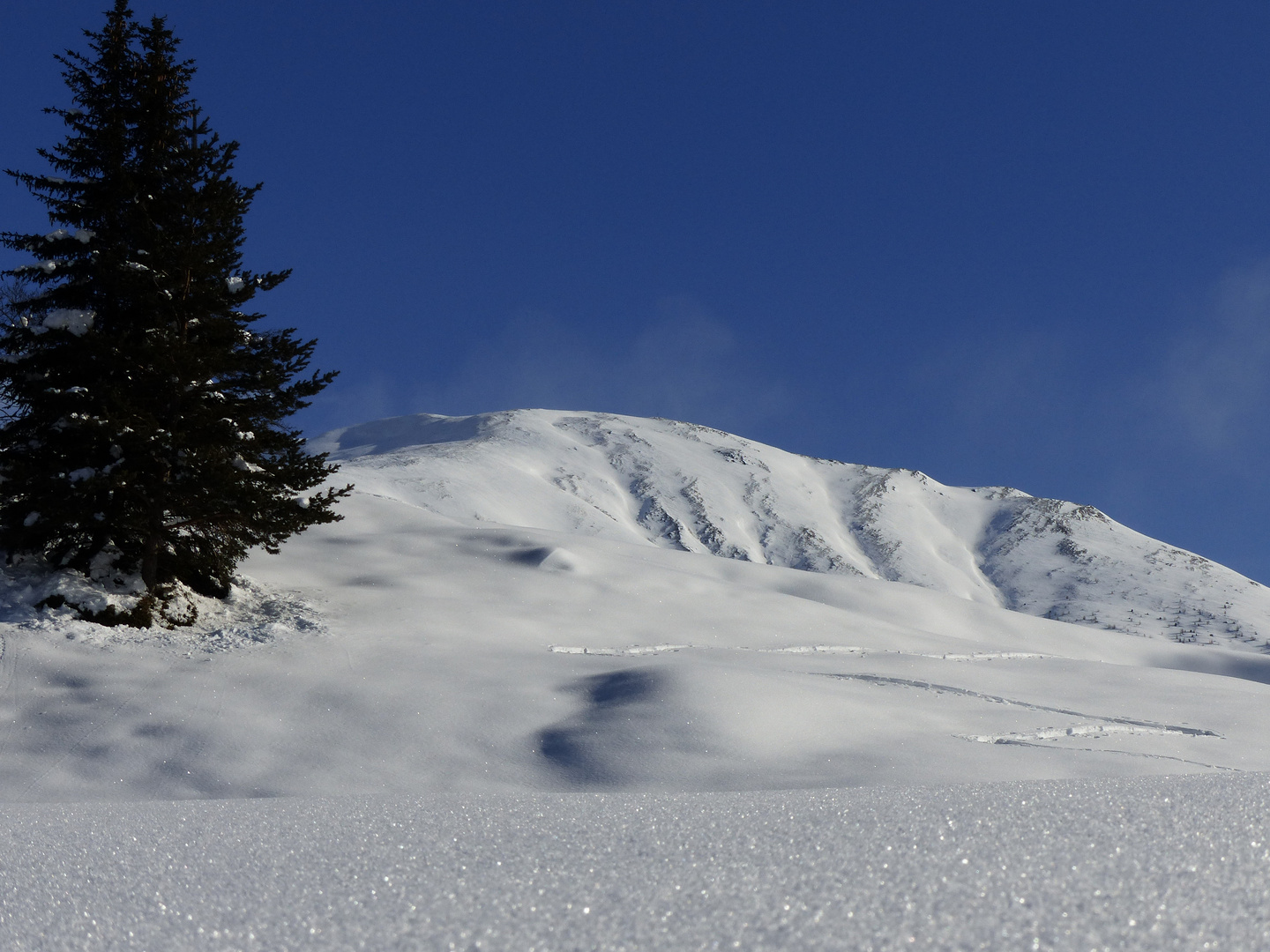 Winter-Wunder-Glitzer-Welt