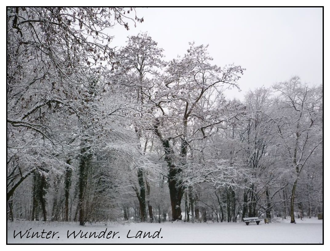 Winter. Wunder. Land.