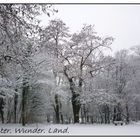 Winter. Wunder. Land.