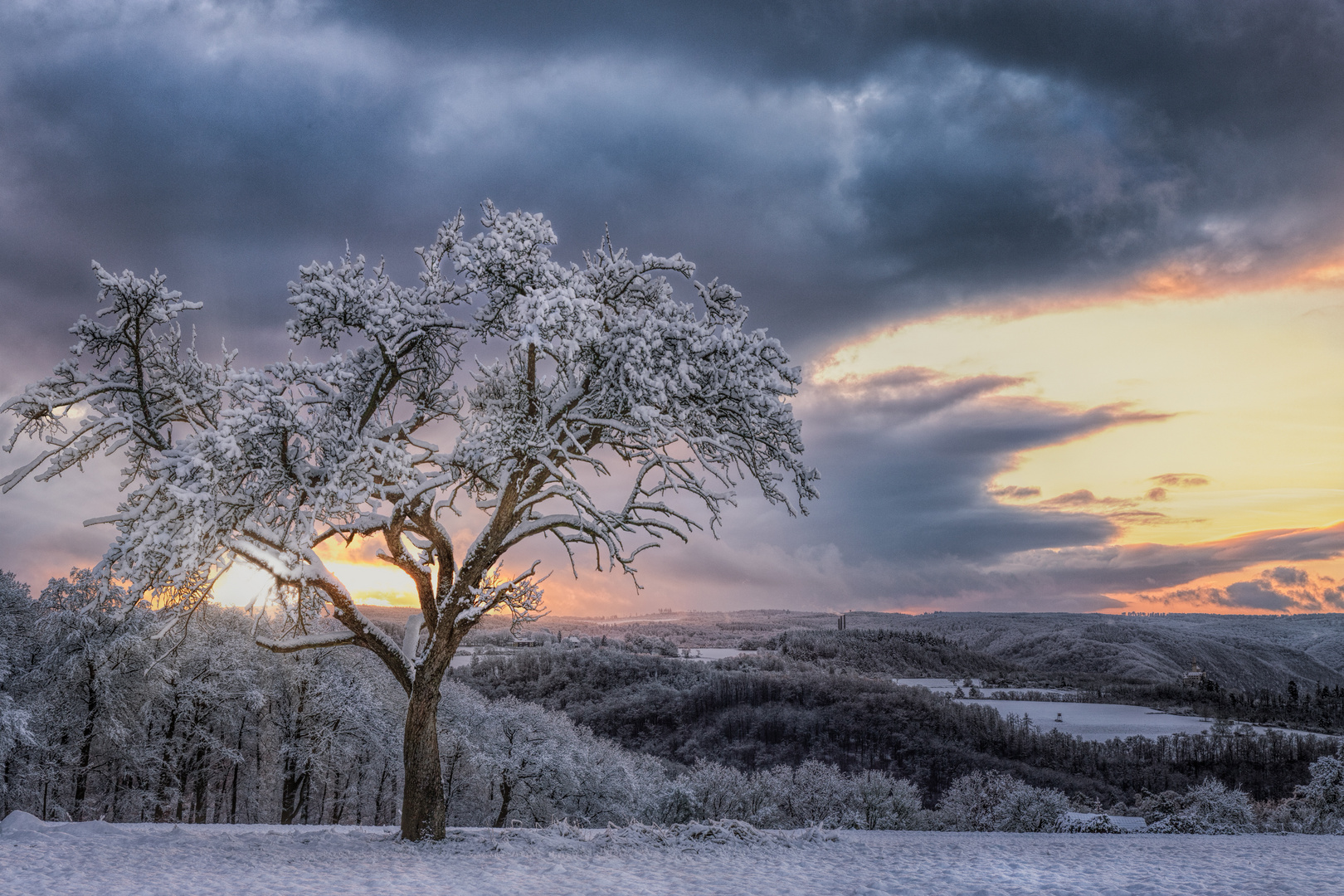 Winter Wunderland