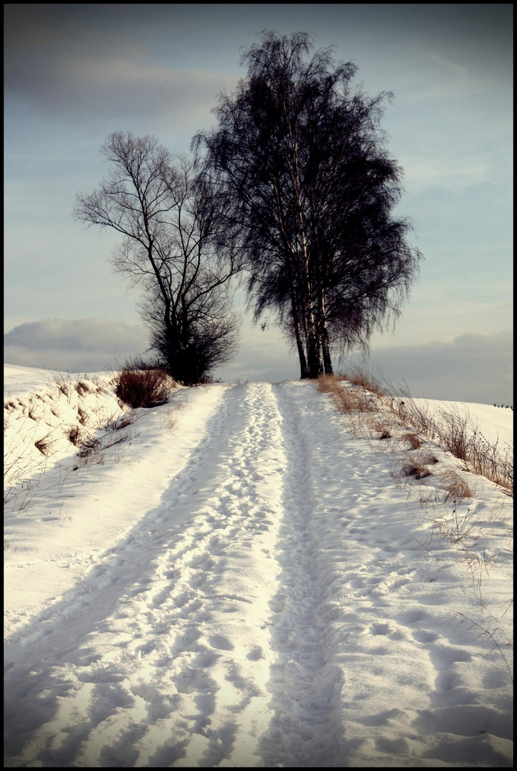 Winter-Wunderland.