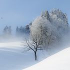 Winter Wunderland