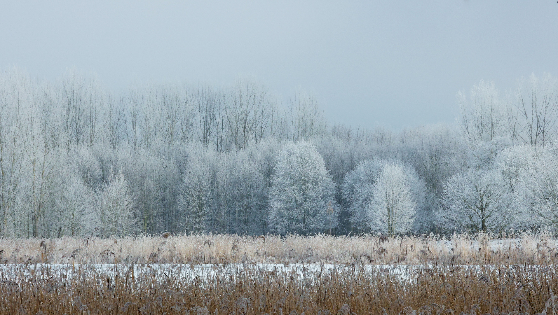 Winter-Wunderland