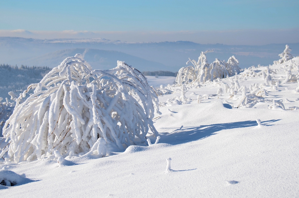 Winter - Wunderland -2-