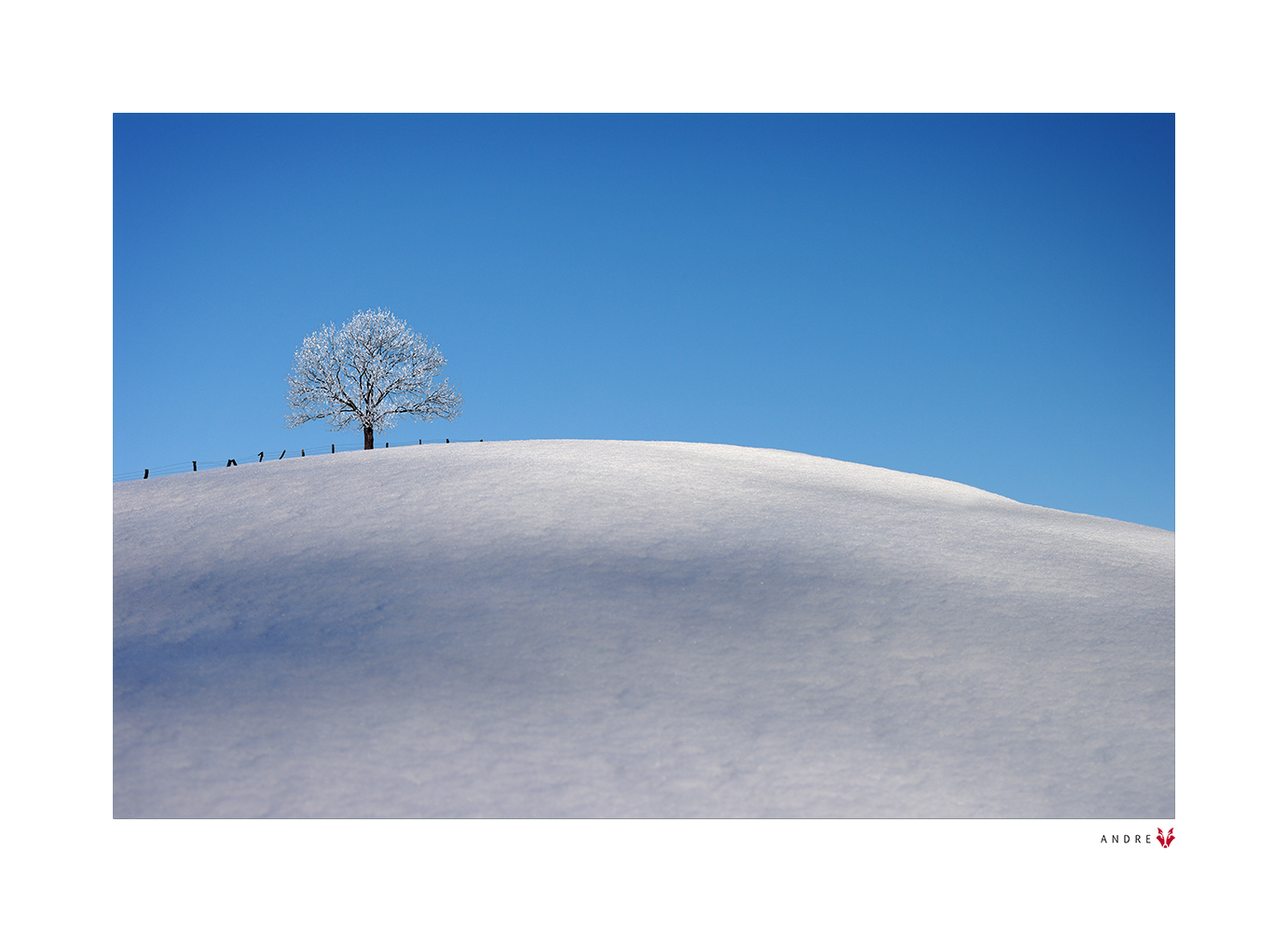 Winter Wunderland