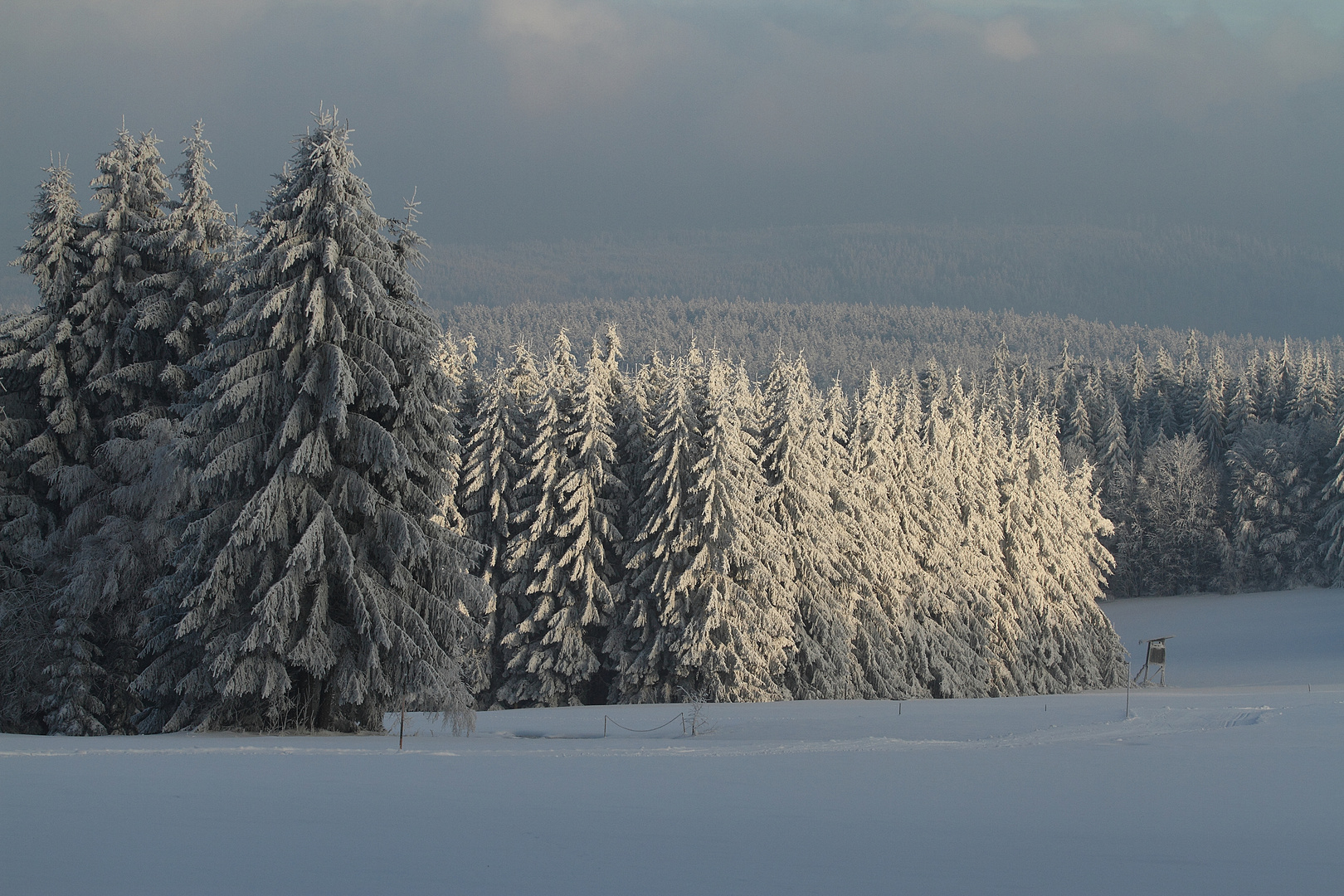 Winter Wunderland