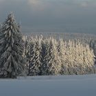 Winter Wunderland