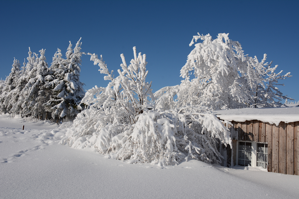 Winter - Wunderland