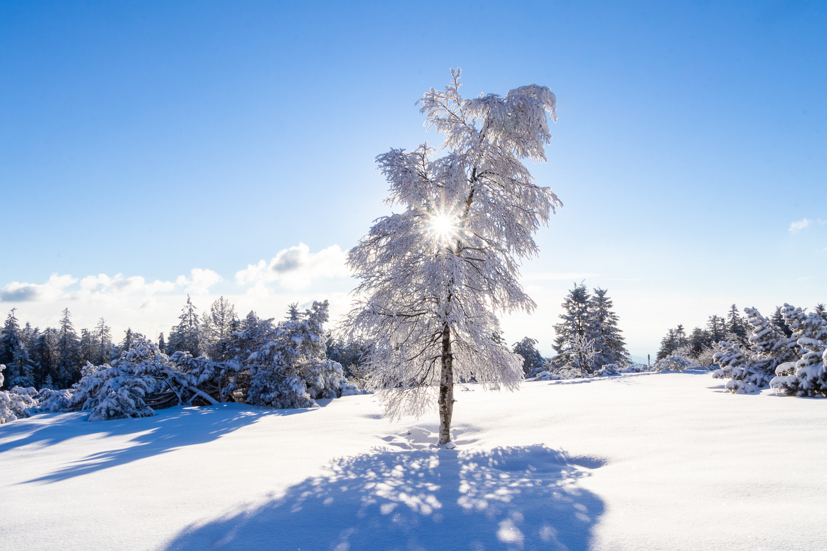 Winter-Wunderland 