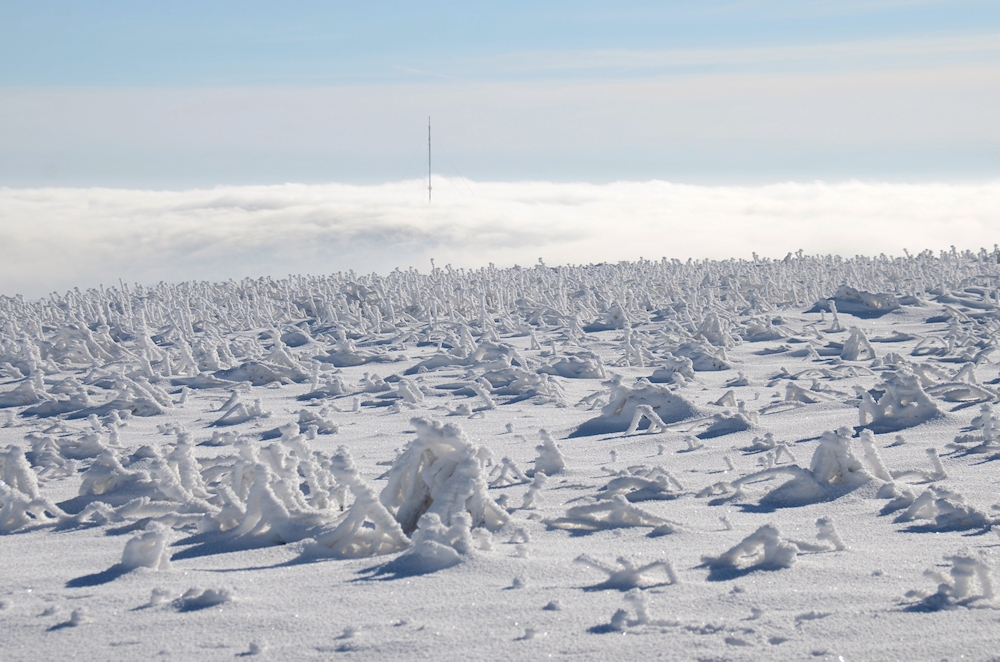 Winter Wunderland....