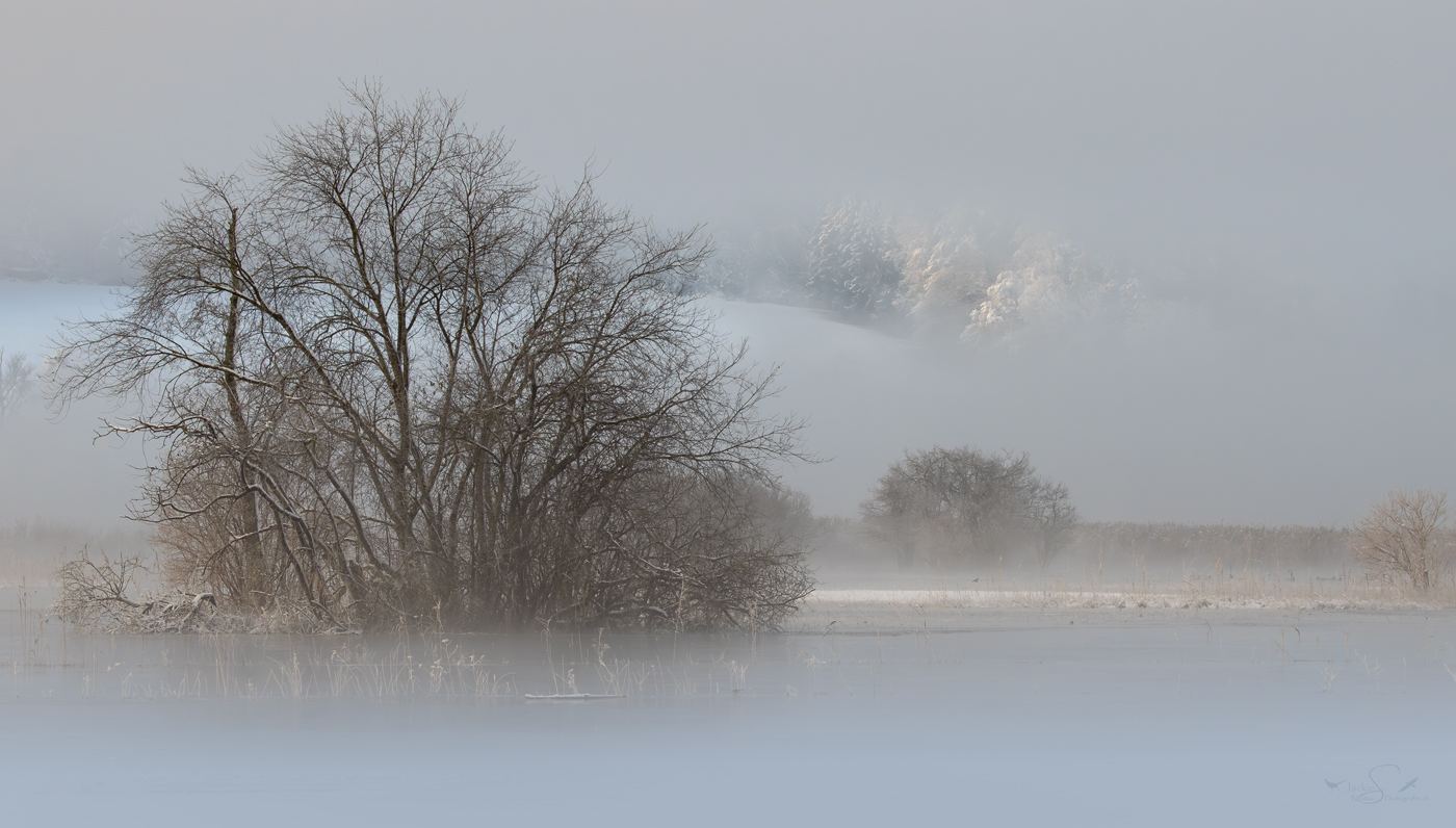 Winter - Wunderland