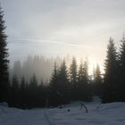 Winter-Wunderland