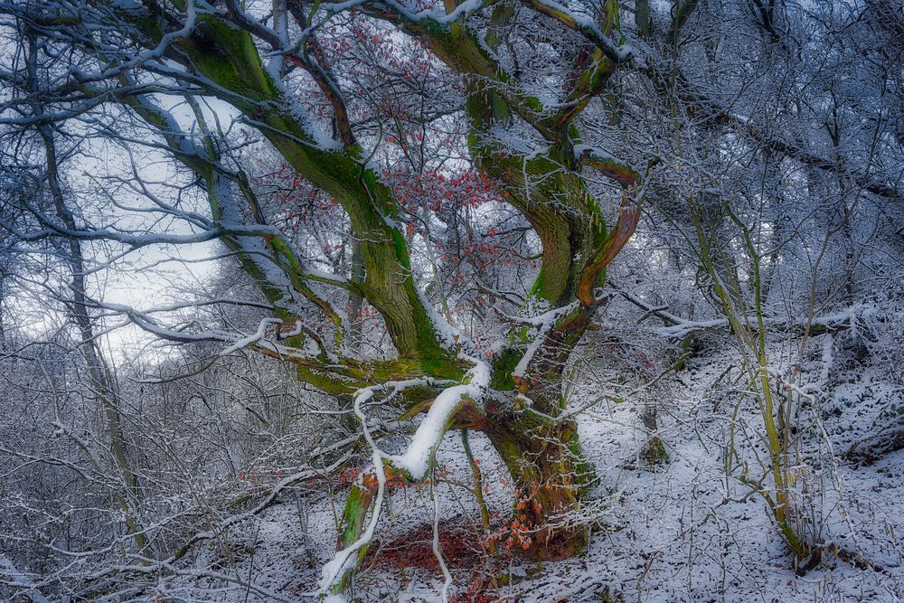 Winter Wunderland an der Nied