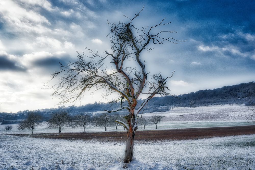 Winter Wunderland an der Nied