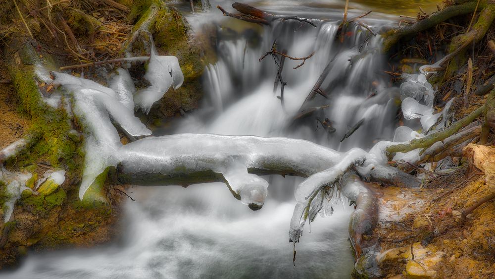 Winter Wunderland an der Nied