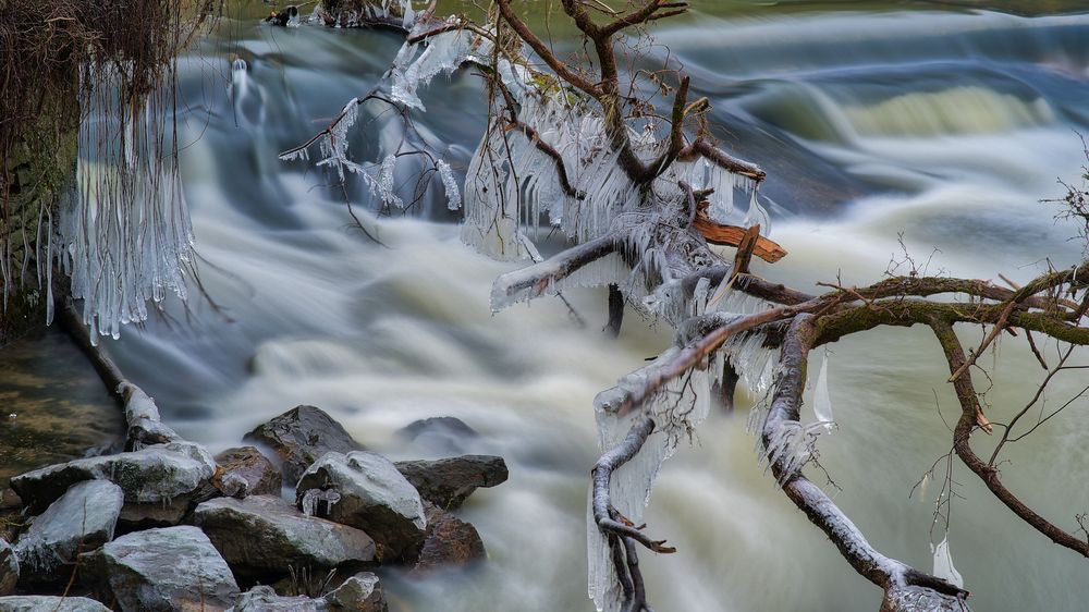 Winter Wunderland an der Nied