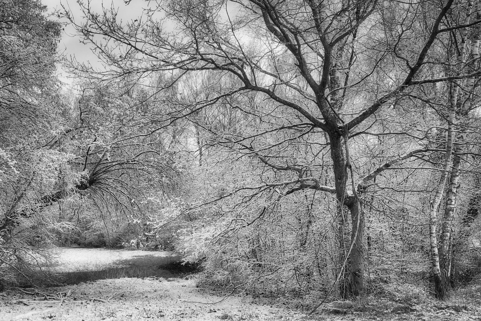 Winter Wunderland an der Nied