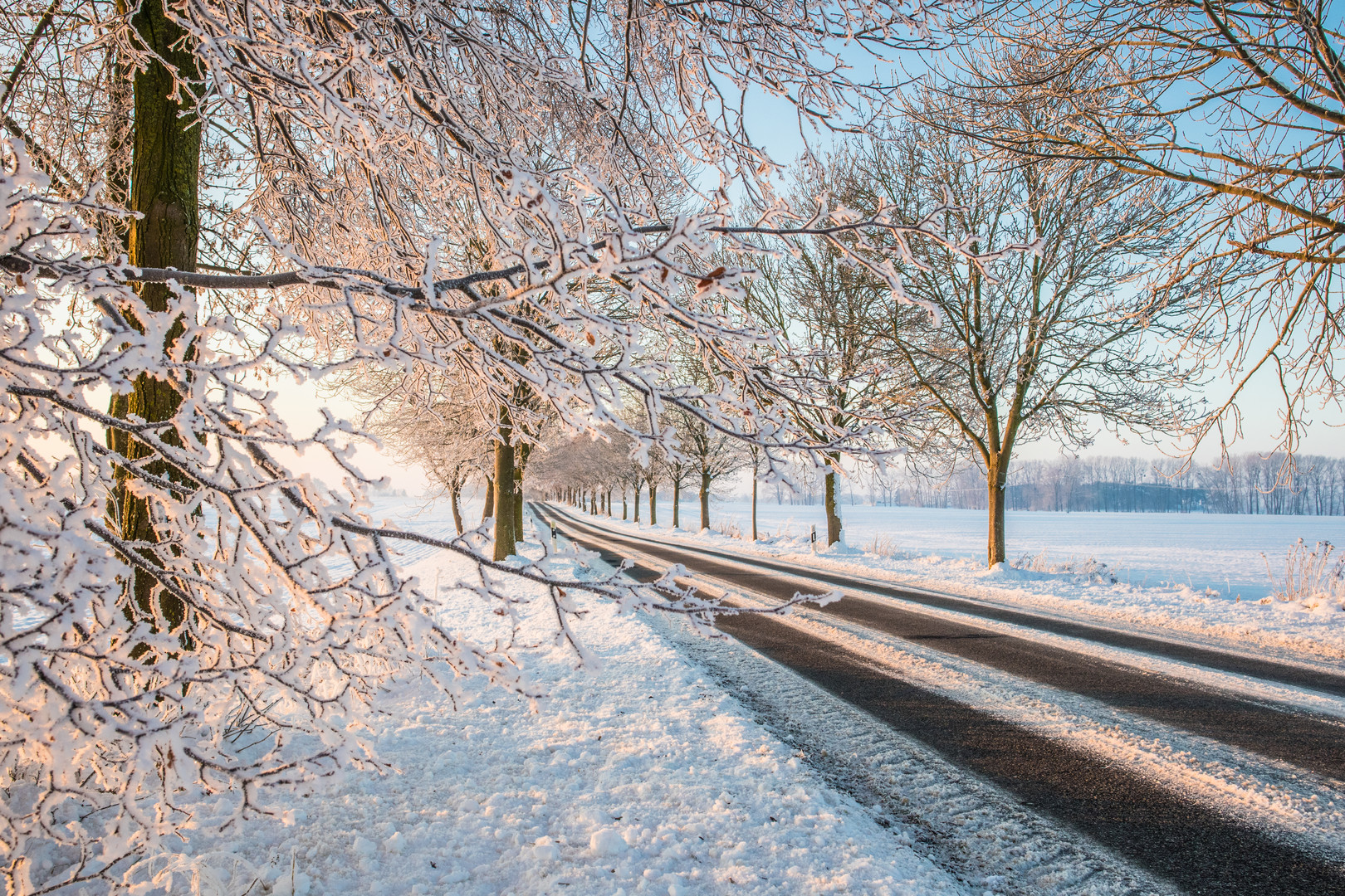 Winter Wunderland