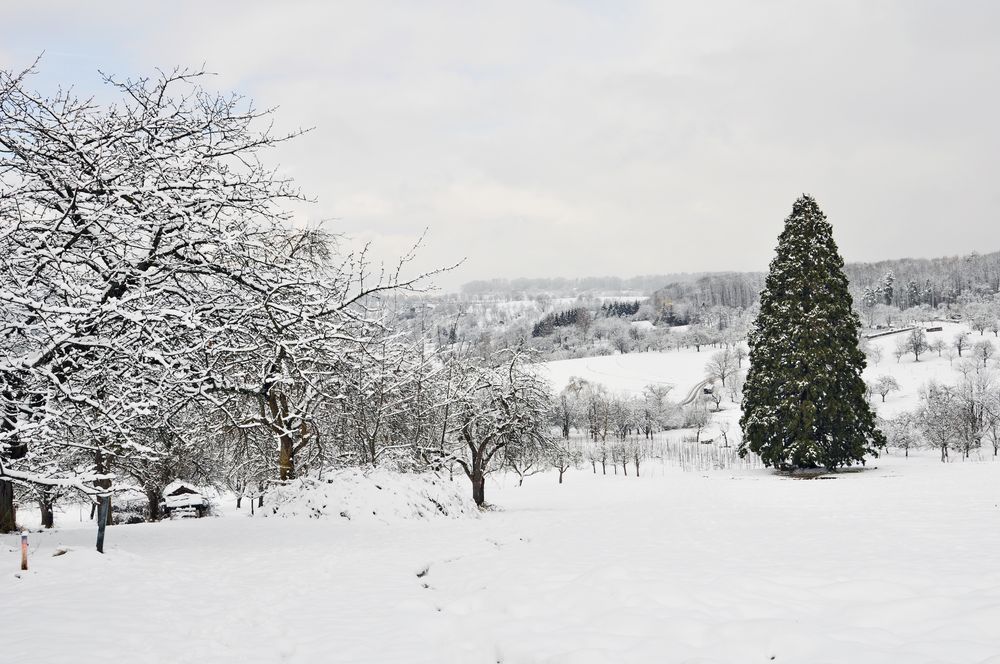 Winter-Wunderland