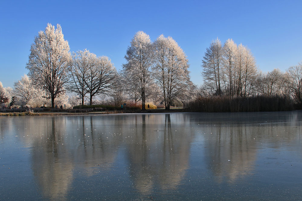 Winter-Wunderland