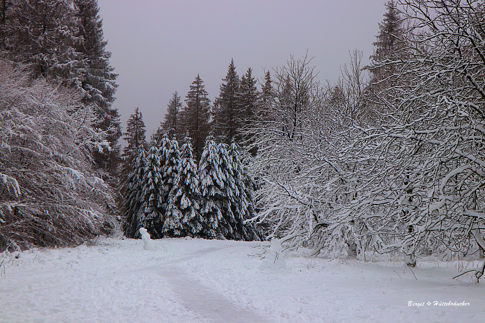 Winter Wunderland