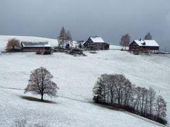 Winter-Wunderland