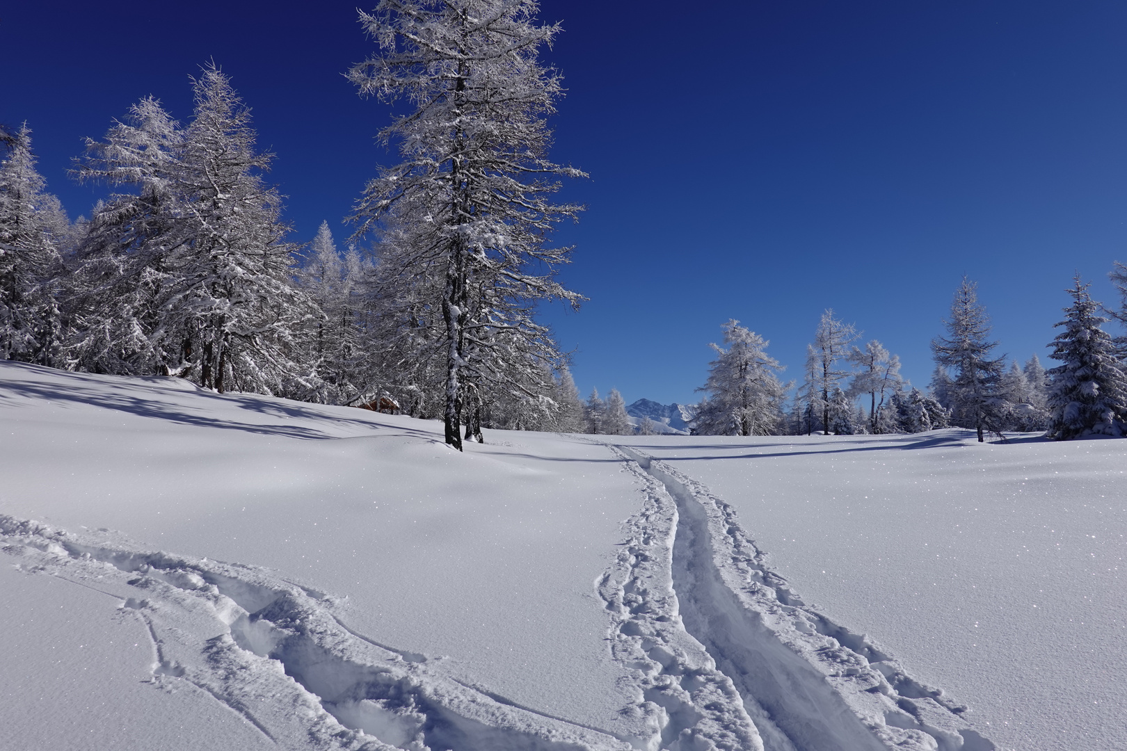 Winter-Wunderland