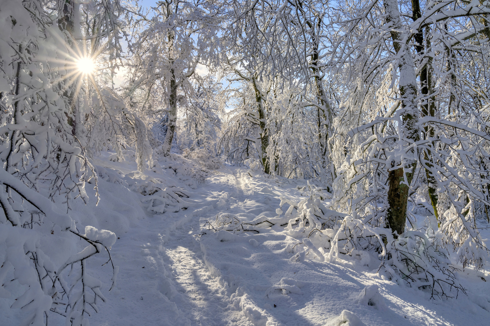 *Winter-Wunderland im Hochwald*