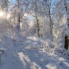 *Winter-Wunderland im Hochwald*