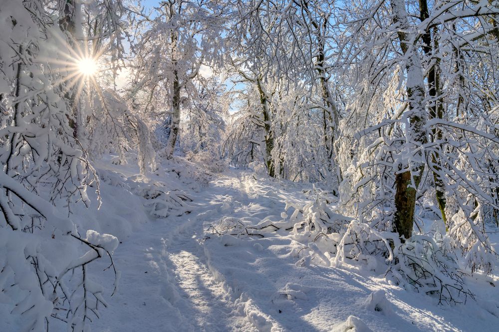 *Winter-Wunderland im Hochwald*