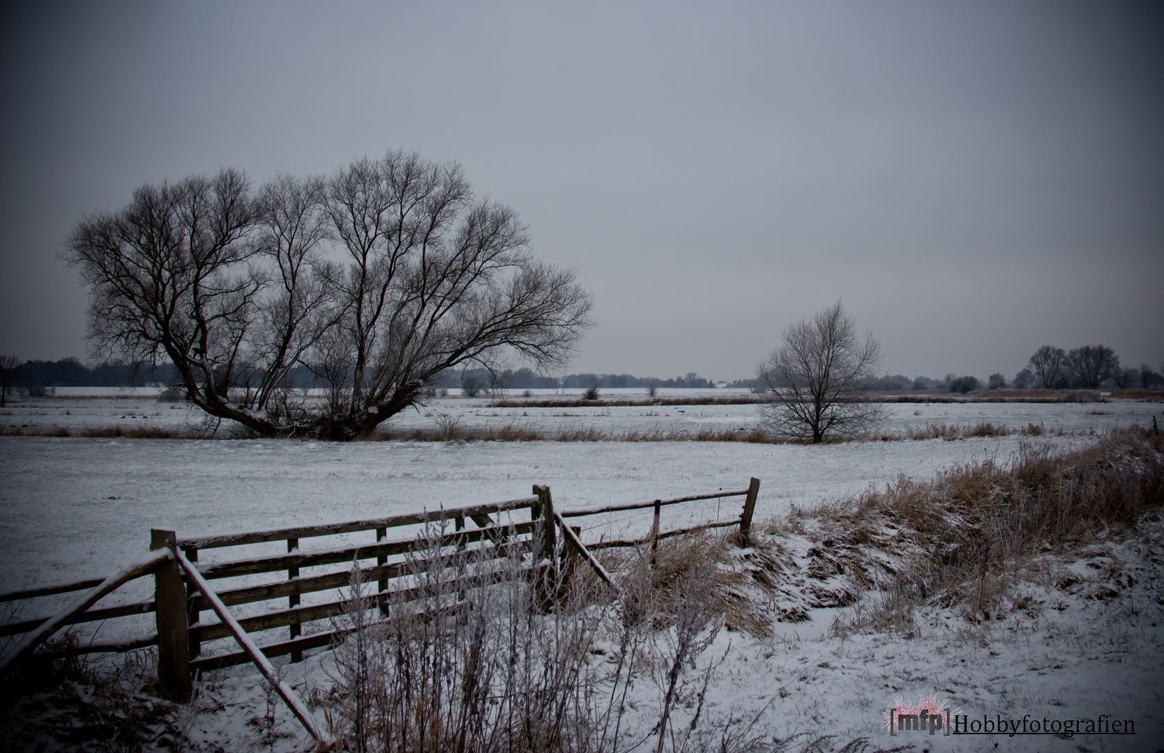 Winter Wunderland, Januar 2013